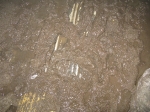 caverns 1 mud.jpg